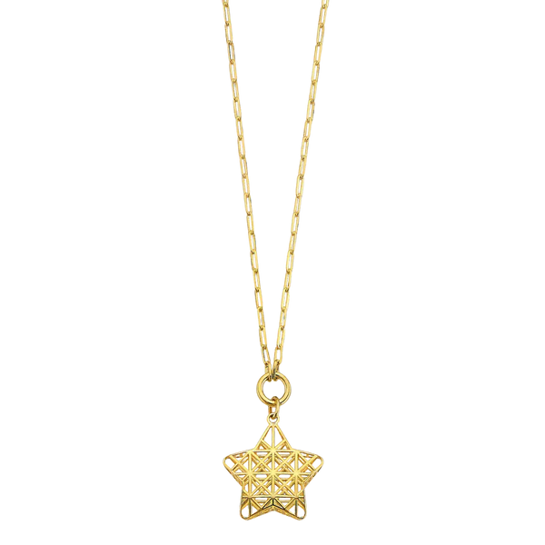 Meshed Star Necklace - 14k Yellow Gold