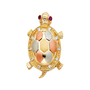 Turtle with CZ Pendant - 14k Tri Color Gold