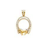 Horse Shoe CZ Frame (50 Pesos) - 14k Two Tone Gold