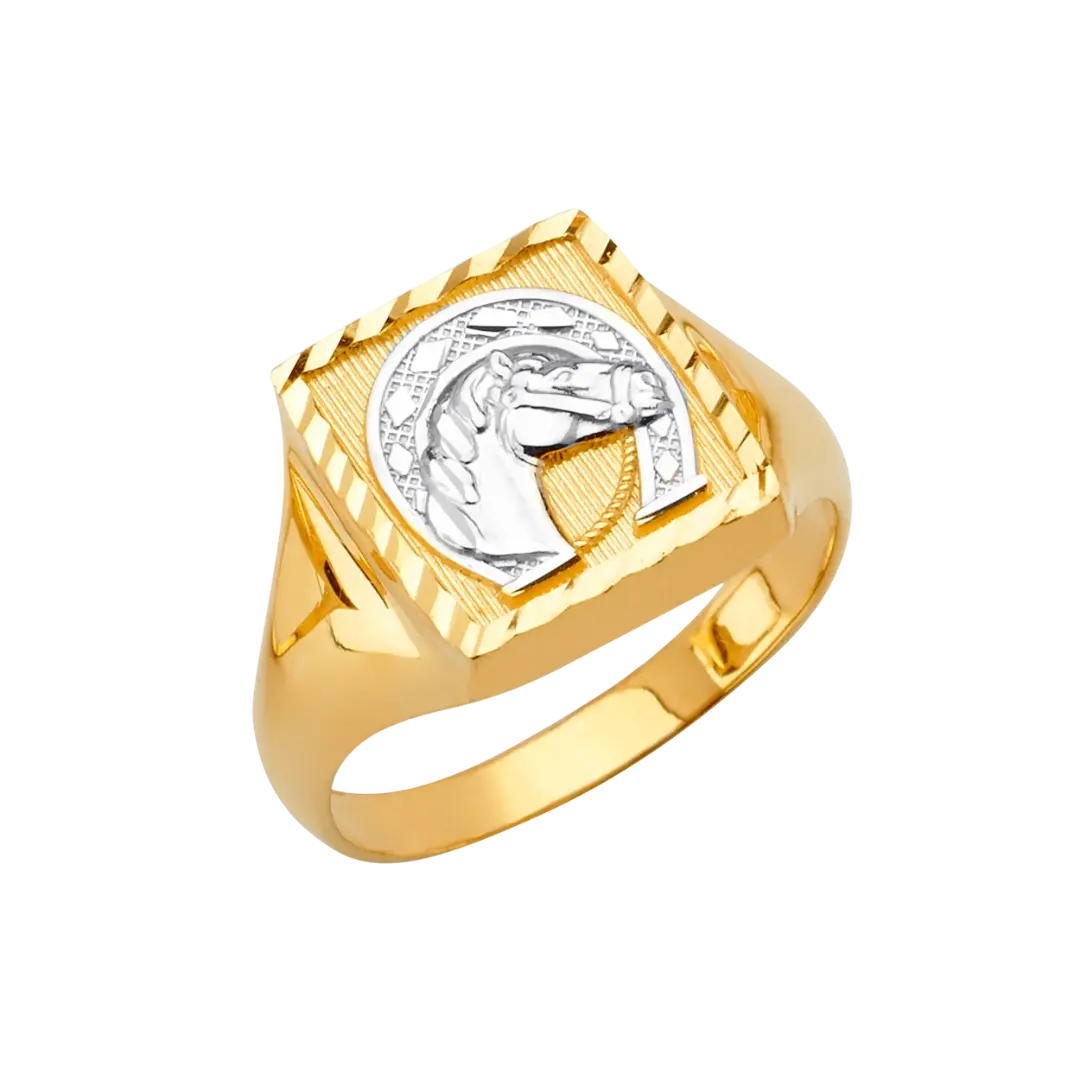 Square Men's Ring with Horse Shoe - 14k Two Tone Gold