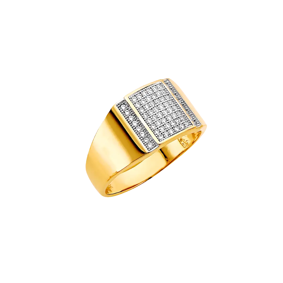 Men's Signet with CZ Ring - 14k Two Tone Gold